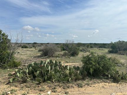Land for sale in Crockett County, Texas