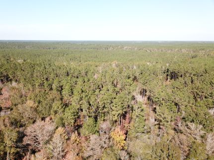 Land for sale in Hardin County, Texas