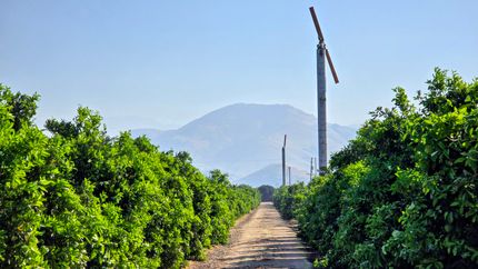 Land for sale in Fresno County, California