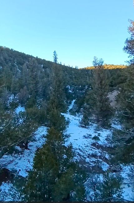 Undeveloped Land for sale in Costilla County, Colorado