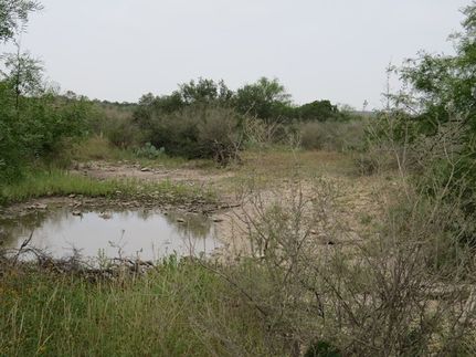 Land for sale in Val Verde County, Texas