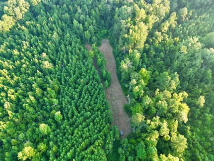 Land for sale in Copiah County, Mississippi