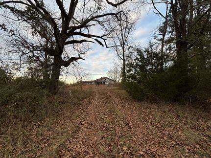 Land for sale in Newton County, Mississippi