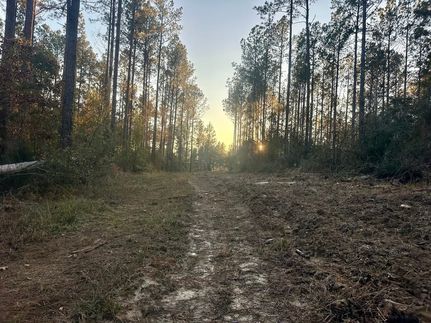 Land for sale in Copiah County, Mississippi