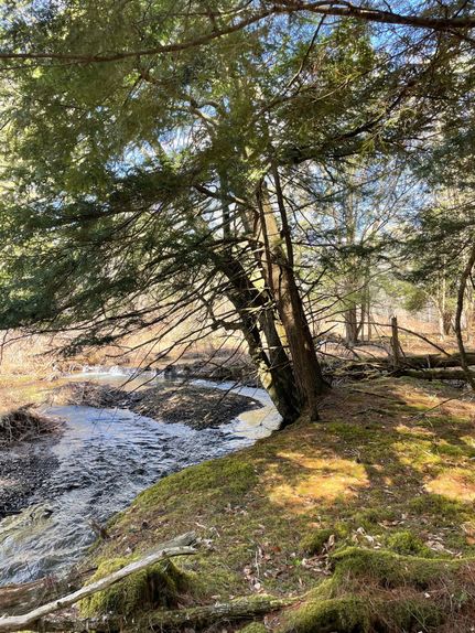 Land for sale in Otsego County, New York