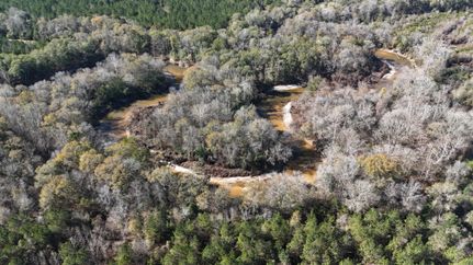Land for sale in Covington County, Alabama