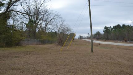 Land for sale in Treutlen County, Georgia