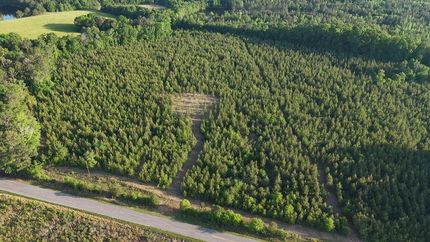 Land for sale in Edgefield County, South Carolina