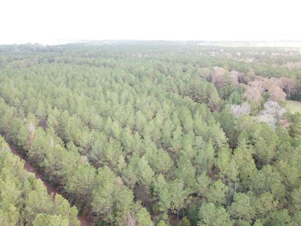 Land for sale in Tyler County, Texas