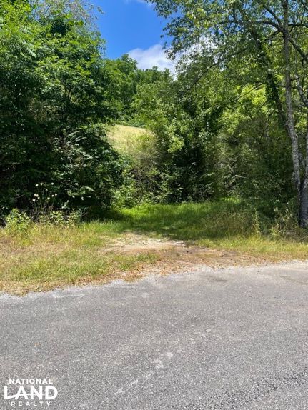 Land for sale in Cullman County, Alabama