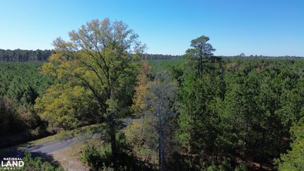 Hunting Property for sale in Clarendon County, South Carolina
