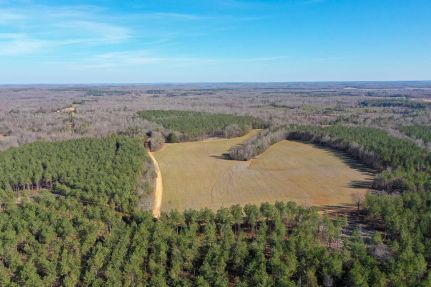 Land for sale in Hardin County, Tennessee