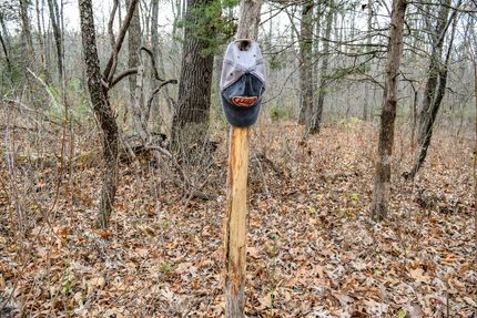 Land for sale in Lincoln County, Missouri