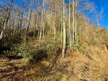 Land for sale in Cocke County, Tennessee