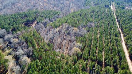 Land for sale in Randolph County, Alabama