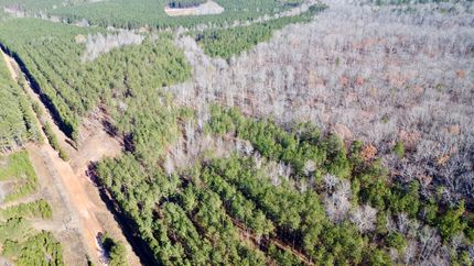 Land for sale in Randolph County, Alabama