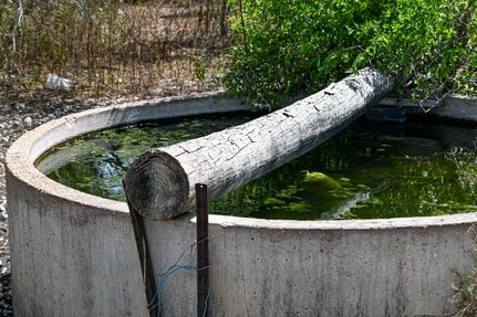 Land for sale in Karnes County, Texas