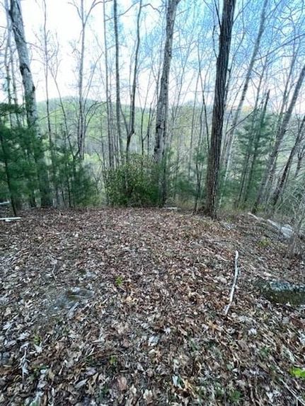 Land for sale in Macon County, North Carolina