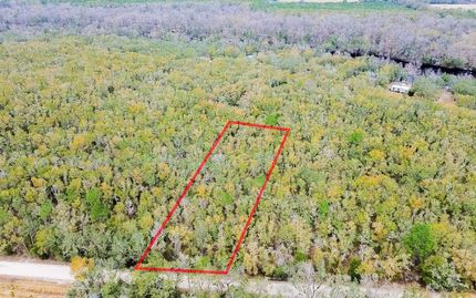 Land for sale in Lafayette County, Florida