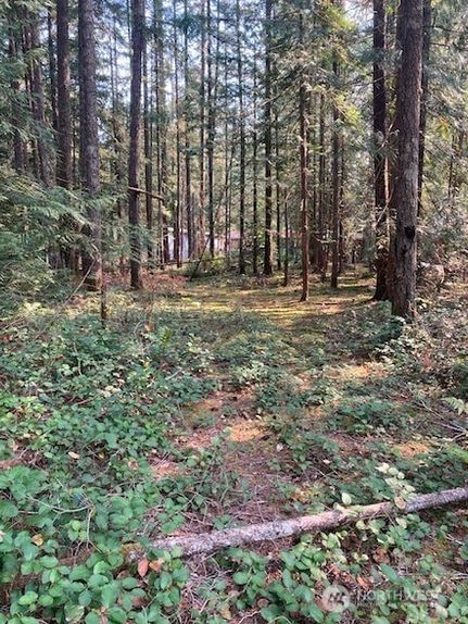 Land for sale in Mason County, Washington