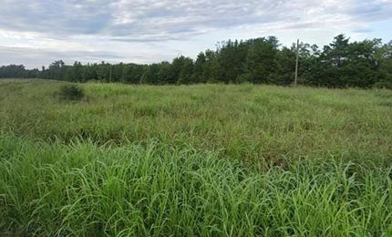 Land for sale in Prince Edward County, Virginia