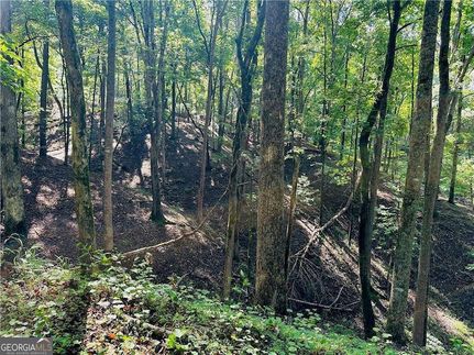 Land for sale in Lumpkin County, Georgia