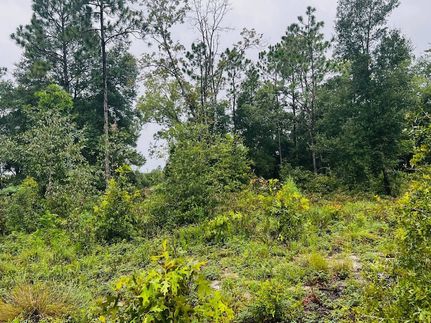 Land for sale in Clay County, Florida