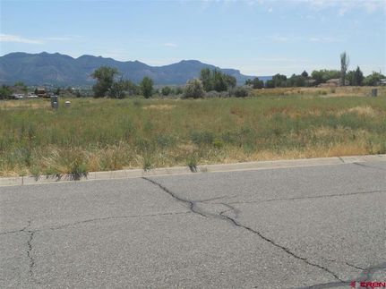 Land for sale in Montezuma County, Colorado