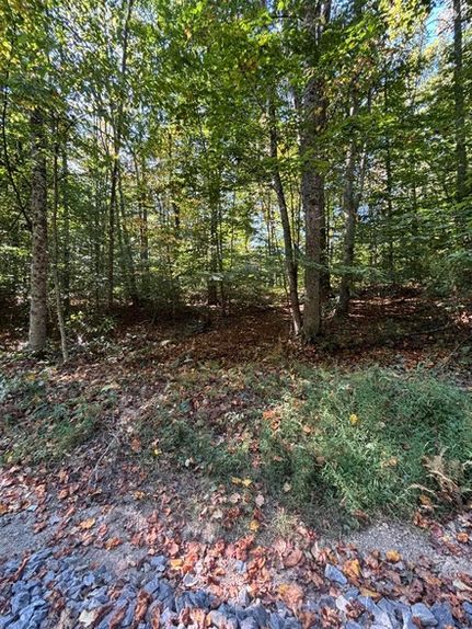 Land for sale in Fayette County, West Virginia