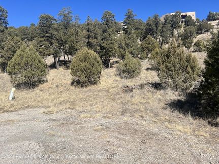Undeveloped Land for sale in Lincoln County, New Mexico