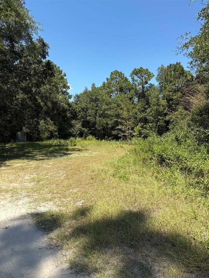 Undeveloped Land for sale in Leon County, Florida