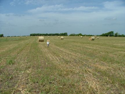 Land for sale in Collin County, Texas