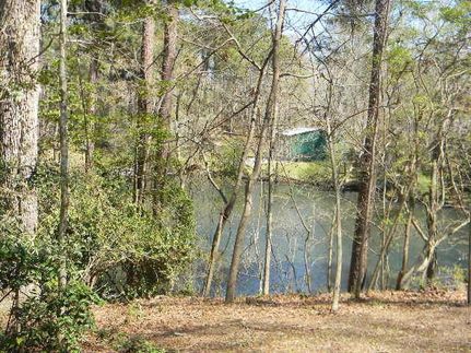 Land for sale in Orangeburg County, South Carolina