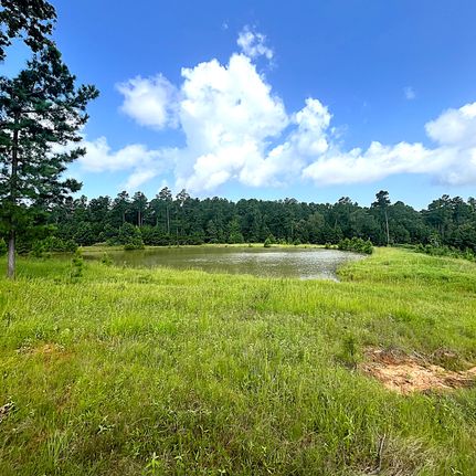 Land for sale in Leon County, Texas