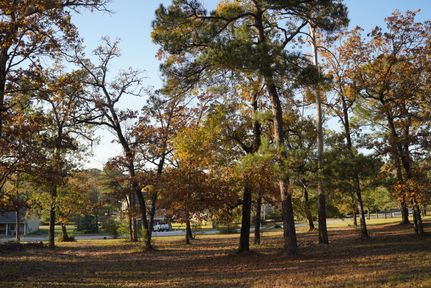 Land for sale in Walker County, Texas