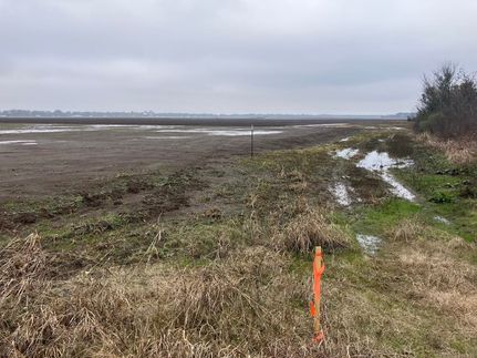 Undeveloped Land for sale in Chicot County, Arkansas