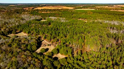 Farm and Ranch for sale in Taylor County, Georgia