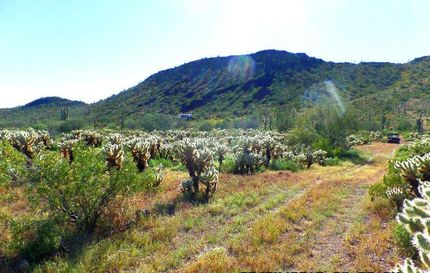 Land for sale in Maricopa County, Arizona