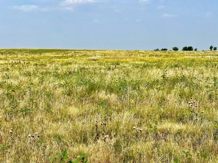 Hunting Property for sale in Kit Carson County, Colorado