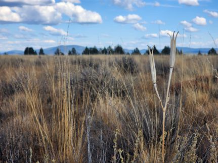 Recreational Property for sale in Klamath County, Oregon