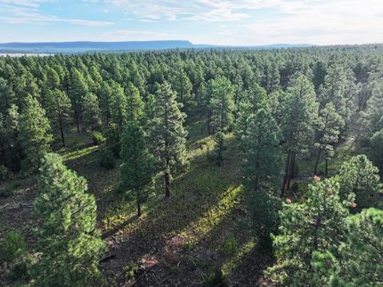 Land for sale in Cibola County, New Mexico