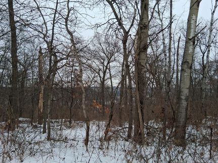 Land for sale in Crawford County, Wisconsin