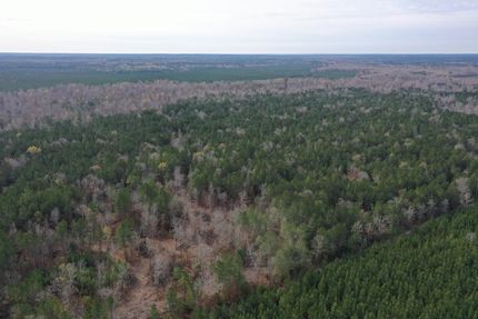 Land for sale in Dallas County, Arkansas