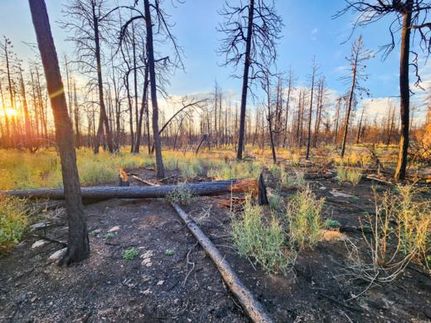 Timberland Property for sale in Klamath County, Oregon