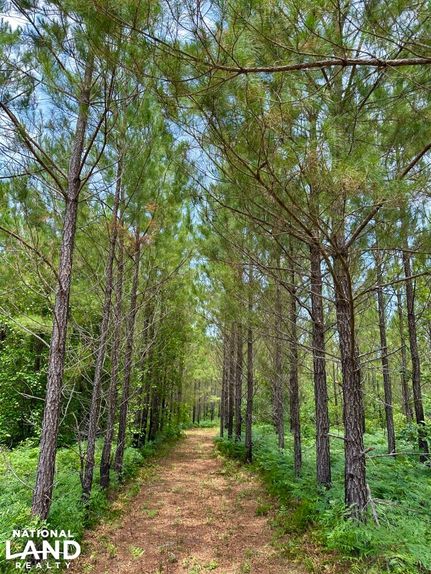 Land for sale in Dodge County, Georgia