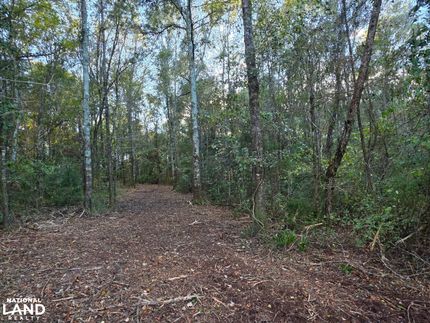 Land for sale in Geneva County, Alabama