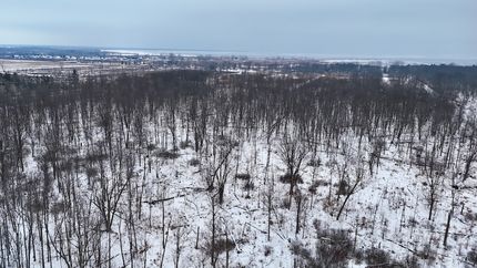 Land for sale in Arenac County, Michigan