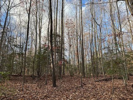 Timberland Property for sale in Prince Georges County, Maryland