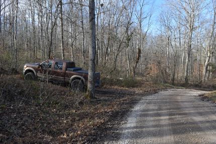 Timberland Property for sale in Wayne County, Kentucky
