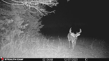 Land in Fauquier County, Virginia